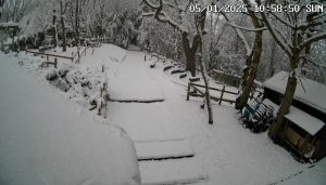 Terms and Conditions